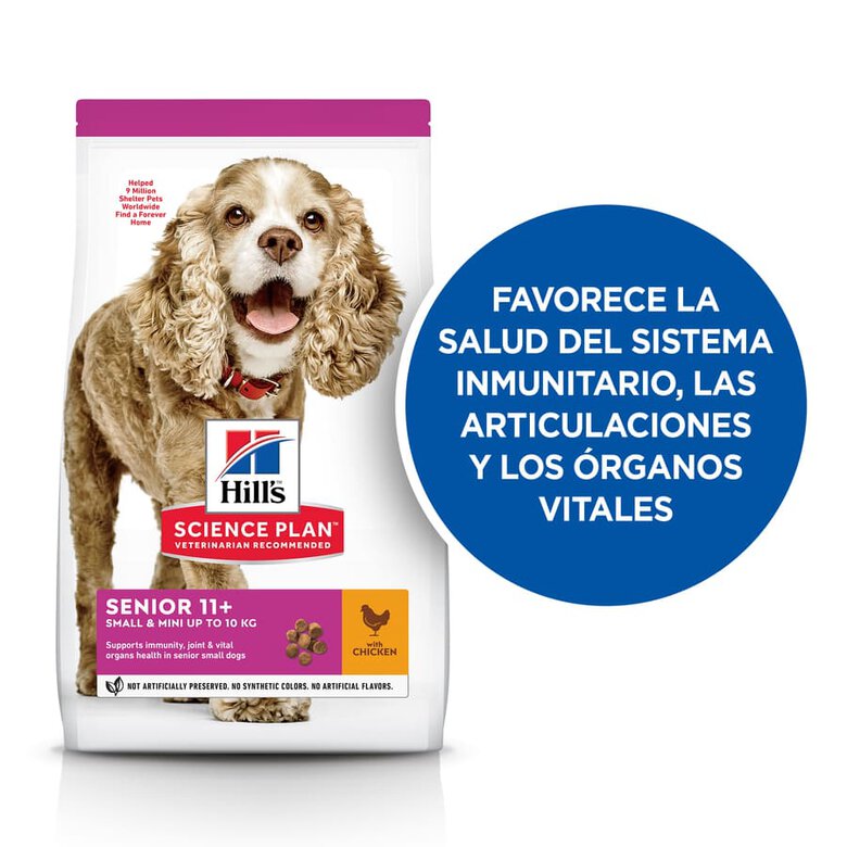 Hill's Science Plan Senior 11+ Small & Mini pollo pienso para perros, , large image number null